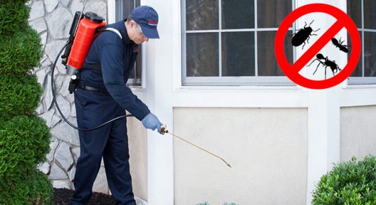 Akkuş Hamam Böceği İlaçlama böcek ilaçlama ve haşere kontrolü — ilaclama-tr.com